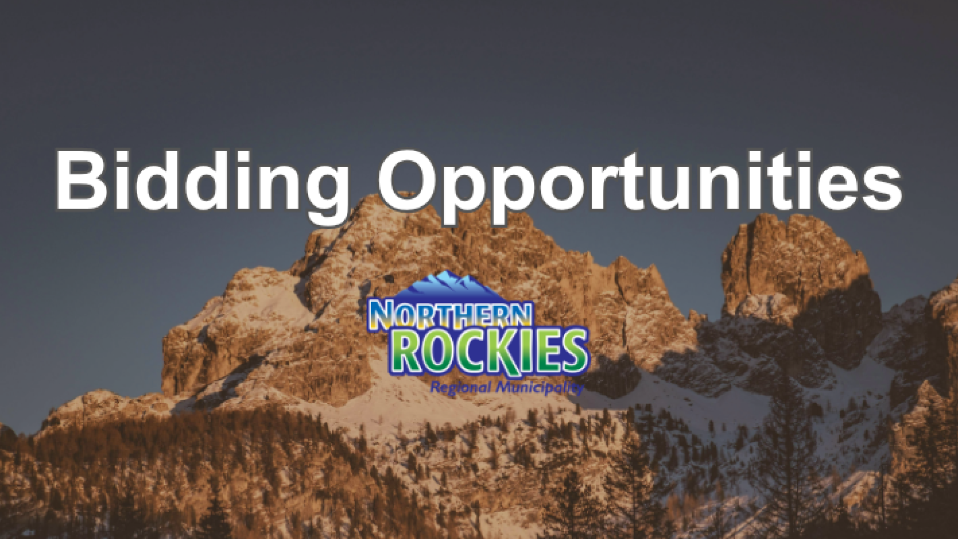 Bid Opportunity Banner