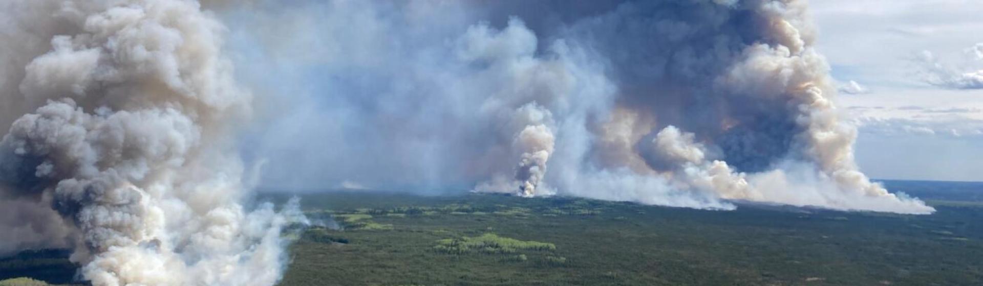 wildfire