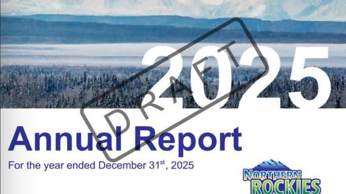 Draft 2025 Annual Report cover image with DRAFT watermark across the front