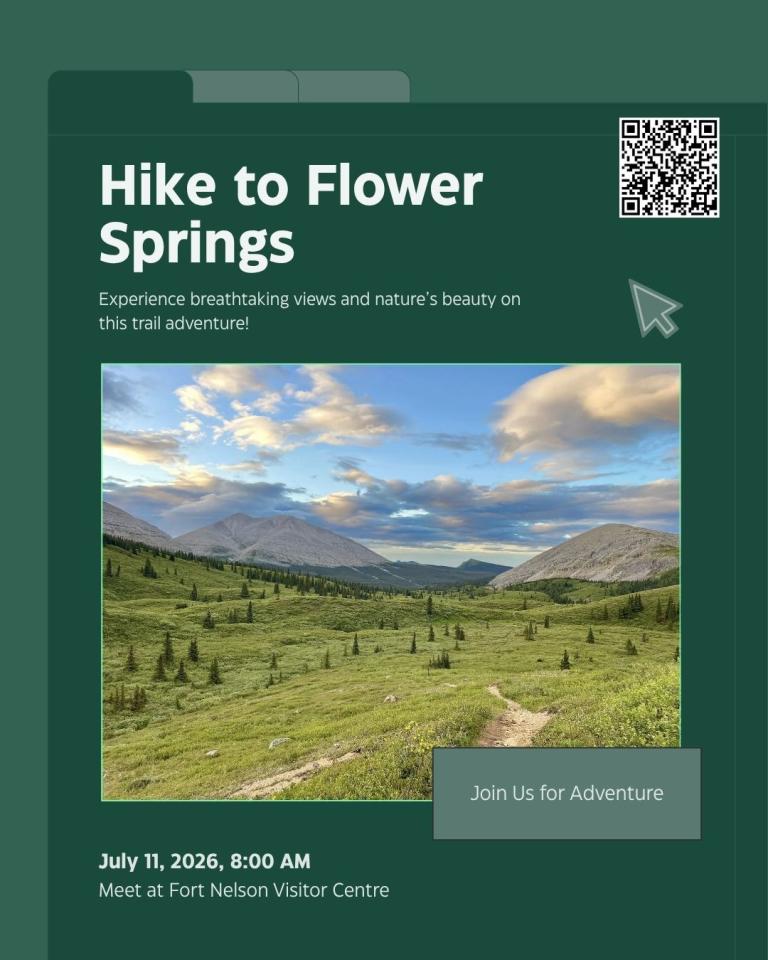 flower springs
