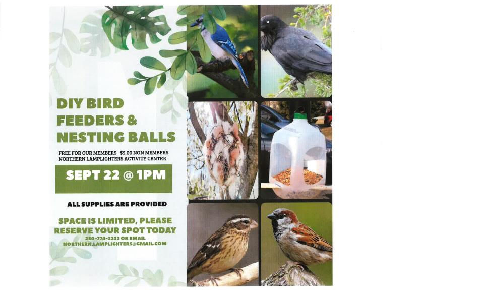 photos of birds