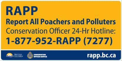 Report All Poachers and Polluters (RAPP) BC Conservation Officer Service