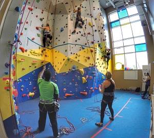 Climbers scaling an indoor rock wall, others belaying below.